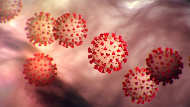 Çinli mütəxəssislər koronavirus pandemiyasının bitəcəyi tarixi açıqladı