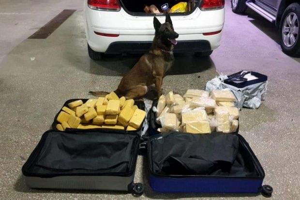Təqaüddə olan polisin maşınından narkotik vasitə tapıldı