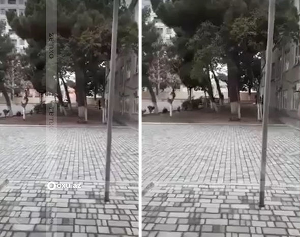İnternat məktəbinin direktoru ərzaqları şəxsi maşınına yüklətdirir?