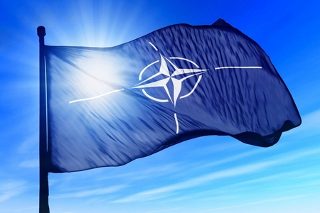 Finlandiya NATO-ya üzvlüklə bağlı qərarını mayın 12-də açıqlayacaq