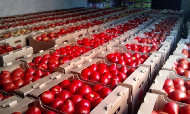 Rusiya 47 ton pomidoru Azərbaycana geri qaytardı