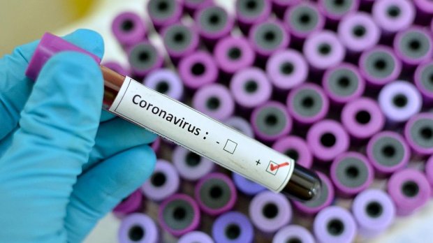 Koronavirusa yoluxma və ölüm halları azalıb