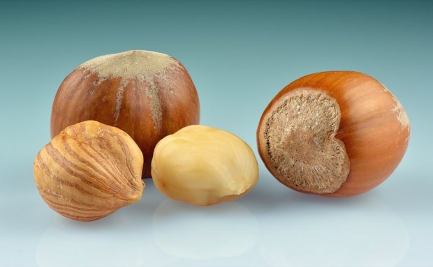 Ürəyinizin sağlam olması üçün fındıq yeyin Ürəyinizin sağlam olması üçün fındıq yeyin