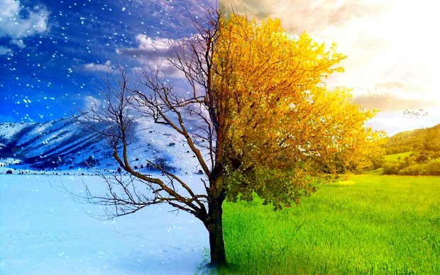 Sabahın hava proqnozu açıqlandı Sabahın hava proqnozu açıqlandı