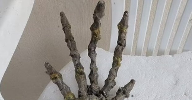 Bu görüntülər sosial şəbəkələrdə Bu görüntülər sosial şəbəkələrdə