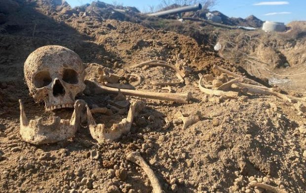 Şəkidə qoruqda insan skeletləri aşkarlandı Şəkidə qoruqda insan skeletləri aşkarlandı