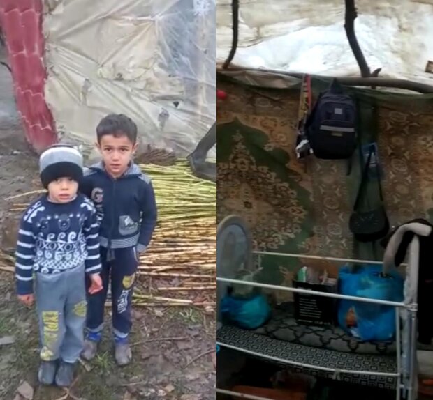 Şəmkirdə ailə iki azyaşlı uşaqla niyə çadırda yaşayır? -