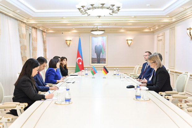 Sahibə Qafarova Almaniyanın Azərbaycandakı səfiri ilə görüşdü Sahibə Qafarova Almaniyanın Azərbaycandakı səfiri ilə görüşdü