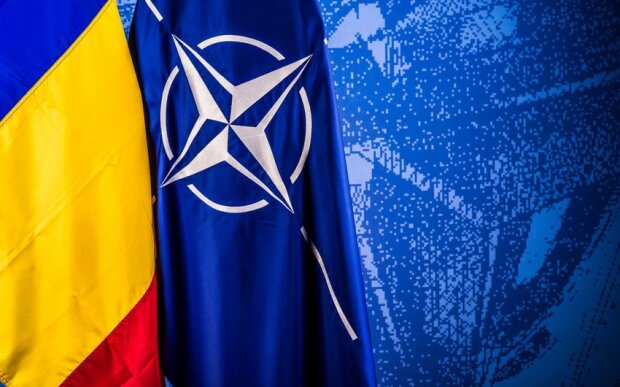 Moldova və NATO rəhbərlikləri əməkdaşlığı müzakirə ediblər