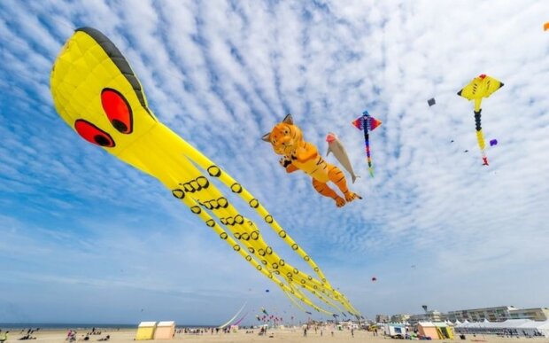 Fransada çərpələng festivalında sürücü avtomobili insanların üzərinə sürüb, yaralılar var Fransada çərpələng festivalında sürücü avtomobili insanların üzərinə sürüb, yaralılar var