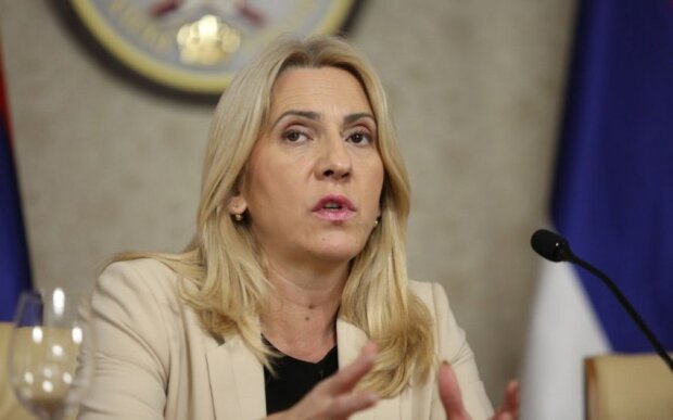 Jelka Tsviyanoviç: "Bu gün Bəyannamə ilə biz strateji tərəfdaşa çevrilmişik" Jelka Tsviyanoviç: "Bu gün Bəyannamə ilə biz strateji tərəfdaşa çevrilmişik"