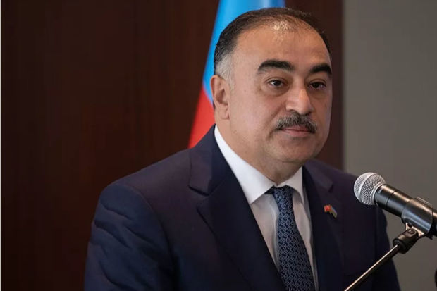 Rəşad Məmmədov: “Bu il TANAP ilə Türkiyəyə 10,2 milyard kubmetr qaz nəql olunacaq”