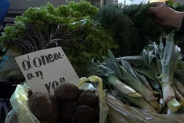 Bazarda min bir dərdin dərmanı olan yabanı bitkilərin